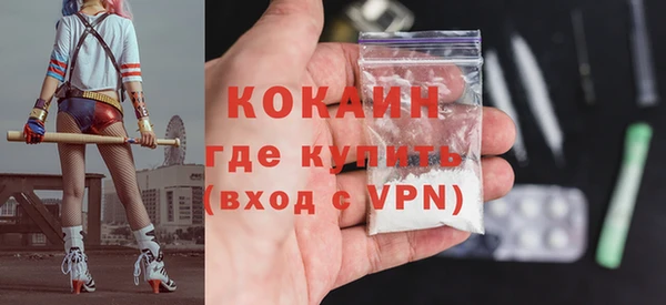 тгк Няндома