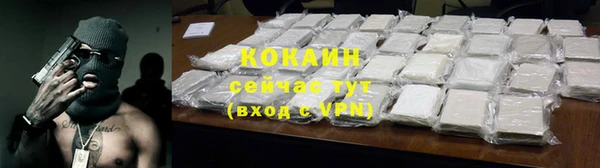 тгк Няндома