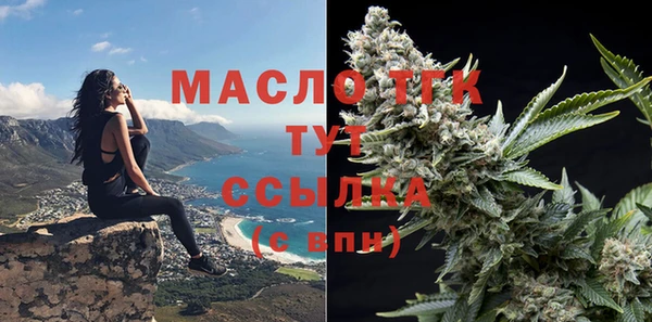 тгк Няндома